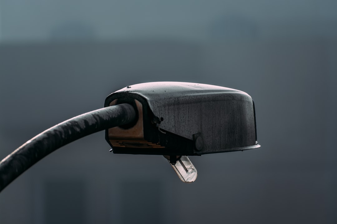 Road Pole ligh on foggy morning